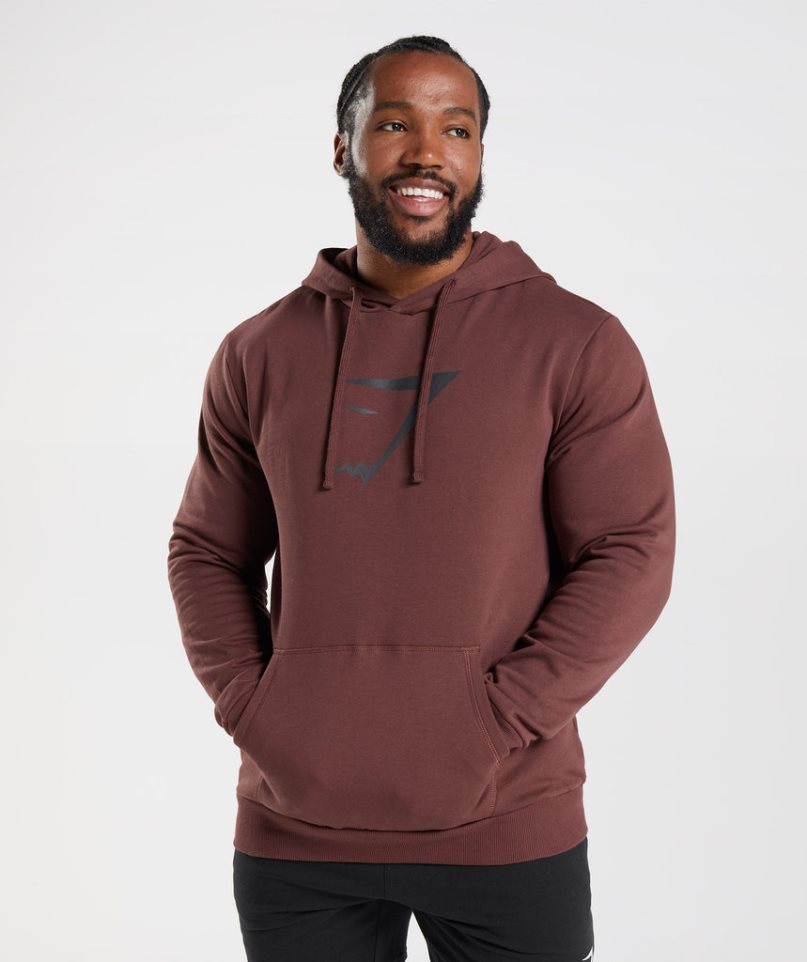 Men\'s Gymshark Sharkhead Infill Hoodie Brown | CA 1D8370